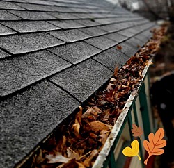 GUTTER CLEANUP