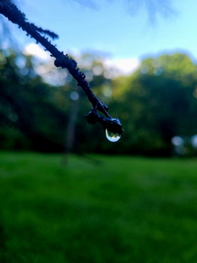 Looking for lawn mowing ,fertilization ,gutter cleaning , Spring- fall cleanup, or something else? We can do it all.