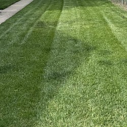 FERTILIZER
